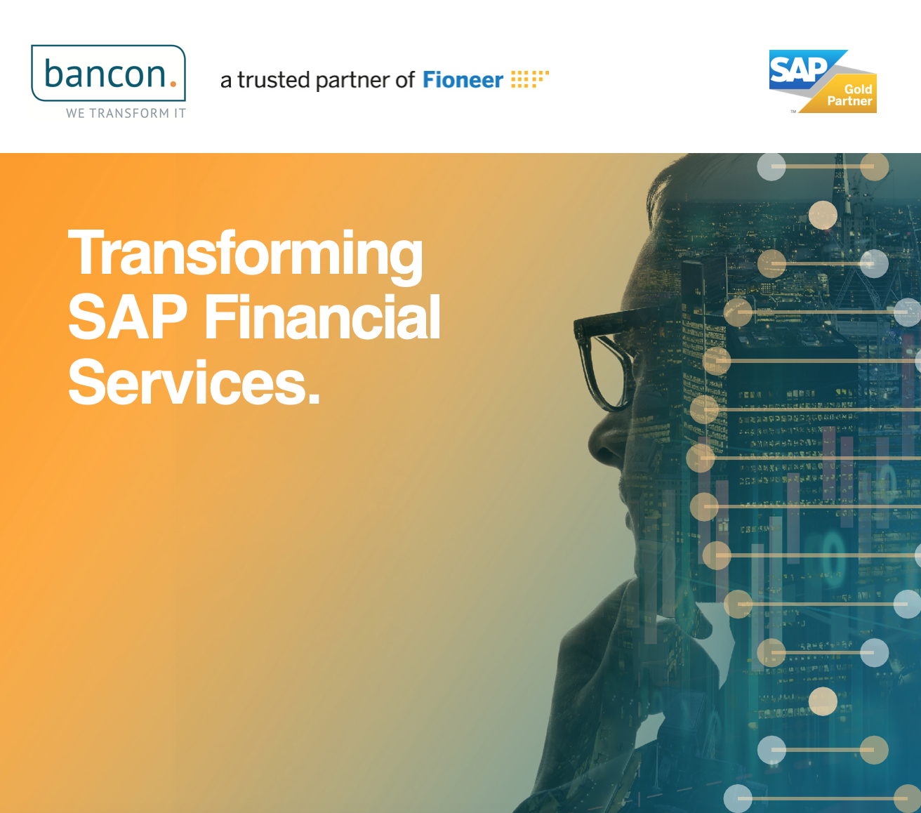 DE-transforming-sap-fioneer-financial-services.md